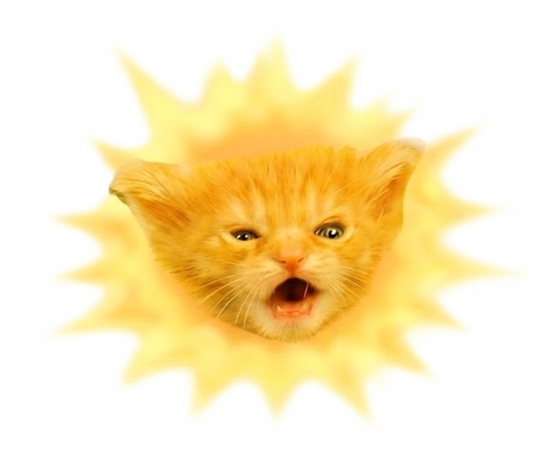 Sun Cat, a kitten who is also the sun